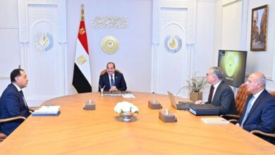 الرئيس السيسي يؤكد أهمية توفير المزيد من الحوافز للمستثمرين