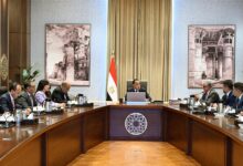 مدبولي يلتقي ومسئولى شركة  صن ريف سولار الصينية