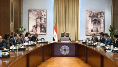مدبولي يلتقي ومسئولى شركة  صن ريف سولار الصينية