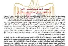 مصر توجه خطابا لمجلس الأمن إزاء التطورات في حوض النيل الشرقي
