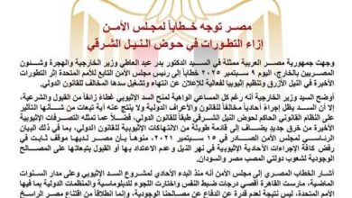 مصر توجه خطابا لمجلس الأمن إزاء التطورات في حوض النيل الشرقي