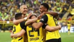دورتموند يفوز على هايدنهايم فى الدورى الألمانى لكرة القدم