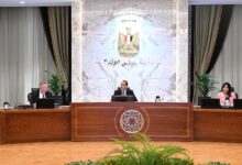 رئيس الوزراء يستقبل نائب رئيس الوزراء الروسي والوفد المرافق له. 