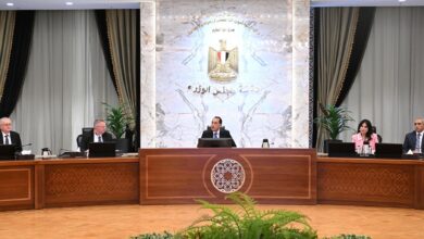 رئيس الوزراء يستقبل نائب رئيس الوزراء الروسي والوفد المرافق له. 