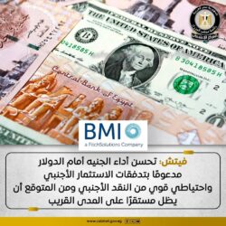 أشادت وكالة فيتش بتحسن أداء الجنيه أمام الدولار. 