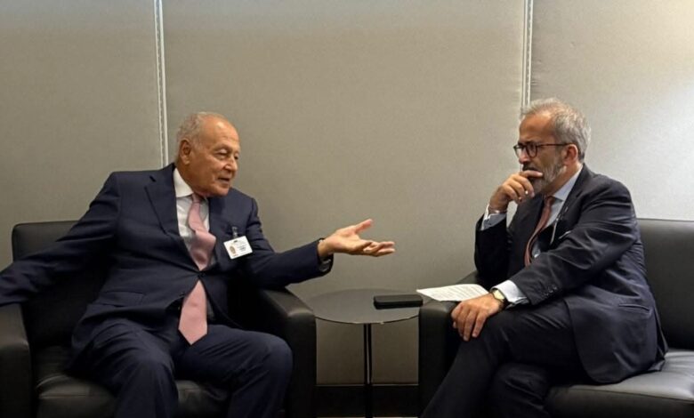 أبو الغيط ووزير خارجية البرتغال يؤكدان أن حل الدولتين يظل الأساس الوحيد للسلام بالشرق الأوسط.
