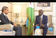 السفير المصرى يلتقى برئيس الحكومة الجيبوتية