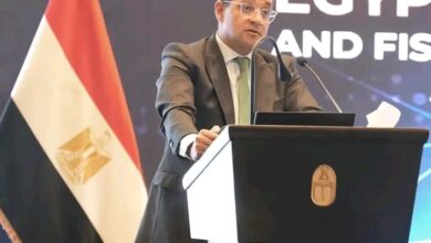 المالية فى حوار مفتوح وممتد مع أعضاء غرفة التجارة الأمريكية بالقاهرة. 