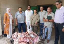 ضبط وإعدام 220 كيلو أسماك ولحوم غير صالحة للاستهلاك الآدمي في حملة مكبرة بحي شرق