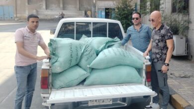 ضبط نصف طن دقيق مدعم قبل تهريبه إلى السوق السوداء بالإسكندرية