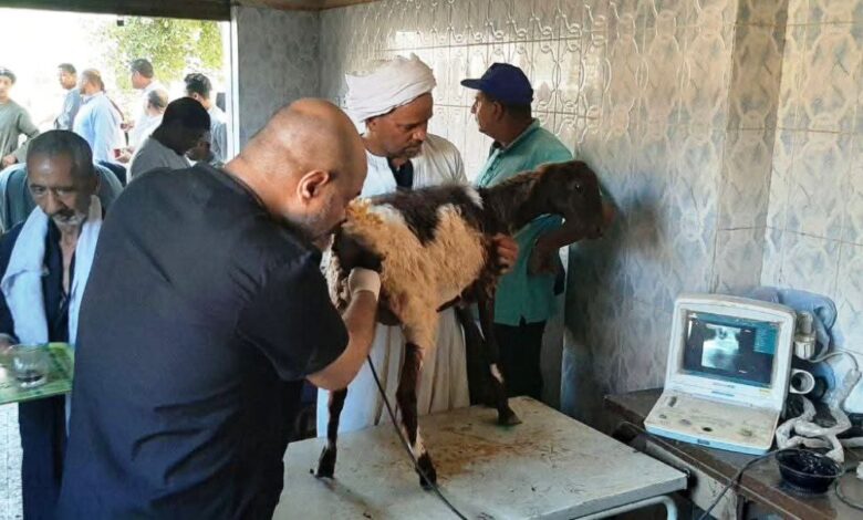 نفيذًا لتوجيهات اللواء دكتور عبد الفتاح سراج محافظ سوهاج، بشأن الحفاظ على صحة المواطنين ودعم الجهود التشاركية بين مختلف مؤسسات الدولة ومنظمات المجتمع المدني