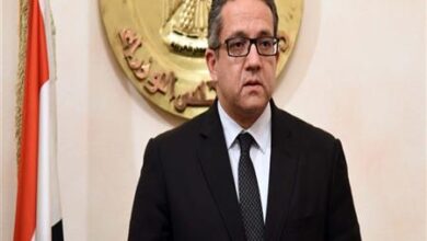 العناني يخوض غدا السباق الانتخابي وسط دعم عربي وإفريقي كبير