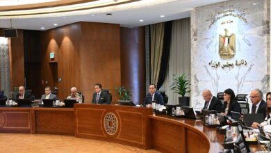 مجلس الوزراء يوافق على إنشاء جامعة البحر المتوسط الخاصة بالإسكندرية.