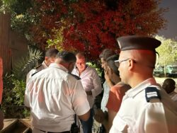 الجيزة توضح ملابسات العثور على تمساح نيلي صغير بحدائق الأهرام