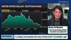 وزيره التخطيط: الرئيس السيسي لديه رؤية حاسمة تقوم على إحلال السلام والالتزام الكامل بحقوق الشعب الفلسطيني. 