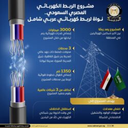 مشروع الربط الكهربائي بين مصر والسعوديه نواه لربط كهربائيّ عربي شامل. 