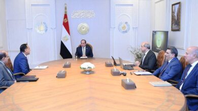 الرئيس السيسي يؤكد عمق الشراكة الاستراتيجية بين الدولة المصرية ومجموعة "ميرسك" العالمية #أ_ش_أ #MENA