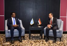 وزير الخارجية يبحث مع نظيره الصومالي ترتيبات نشر القوات المصرية