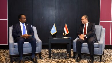 وزير الخارجية يبحث مع نظيره الصومالي ترتيبات نشر القوات المصرية