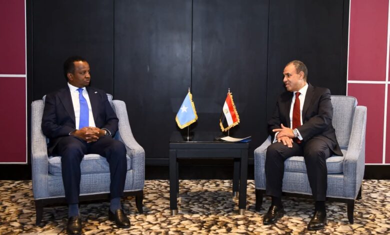 وزير الخارجية يبحث مع نظيره الصومالي ترتيبات نشر القوات المصرية
