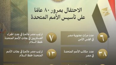 المنظمة الخارجية مصر تؤكد التزامها الكامل بمبادئ ميثاق الأمم المتحدة