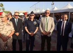 محافظ القليوبية يشارك في مهرجان الشرقية للخيول العربية الأصيلة لدعم التراث والسياحة. 