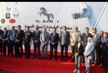 محافظ القليوبية يشارك في مهرجان الشرقية للخيول العربية الأصيلة لدعم التراث والسياحة. 