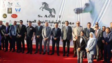 محافظ القليوبية يشارك في مهرجان الشرقية للخيول العربية الأصيلة لدعم التراث والسياحة. 