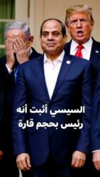 " مصر تقود العالم للسلام "