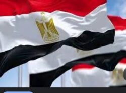"مصر.. اللاعب الأهم "