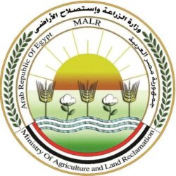 الزراعة تُحدّث بيانات الوضع الوبائي لمصر في نظام الصحة الحيوانية العالمي