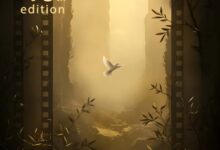 مهرجان القاهرة السينمائي الدولي رحلة الضوء من قلب الظلال