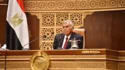 مجلس الشيوخ ينتخب رؤساء لجانه النوعية اليوم