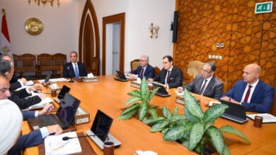 وزير الخارجية يتابع استعدادات الوزارة لافتتاح المتحف المصرى الكبير.