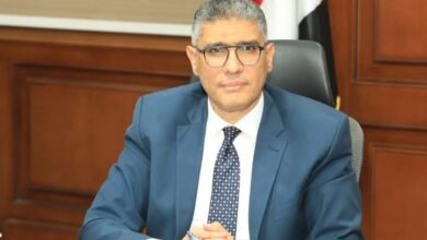 محافظ الجيزة: تجميل الأكشاك الكهربائية برسومات فرعونية تعكس الحضارة المصرية.