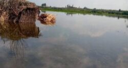 صحة المنوفية: تعمل بكام طاقتها لإستقبال اي حالات للإرتفاع منسوب المياه