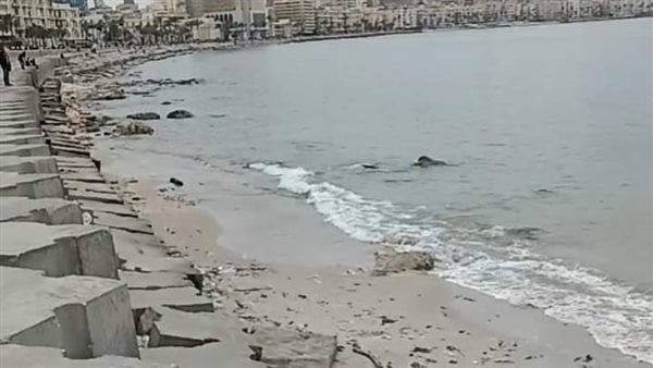 علوم البحار يوضح سبب انحسار مياه الإسكندرية وظهور شاطئ رملي