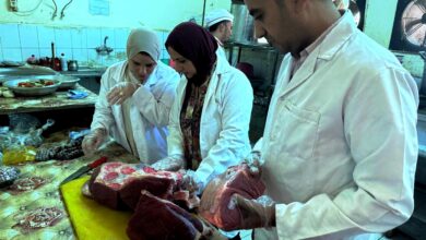 حملات مكثفة للطب البيطري لضمان سلامة اللحوم وصحة المواطنين