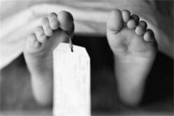 جريمة في قلب القرية الهادئة.. من قتل مقاول الطوب؟