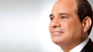 محافظ سوهاج يهنئ الرئيس "السيسي" بمناسبة الذكرى الـ " 52 " لنصر أكتوبر المجيد