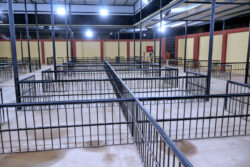 محافظ سوهاج يفتتح سوق المنشاة الحضري الجديد على مساحة 960 مترا