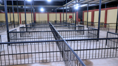 محافظ سوهاج يفتتح سوق المنشاة الحضري الجديد على مساحة 960 مترا