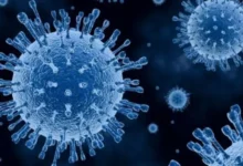 وزارة الصحة المصرية تكشف: 66% من الإصابات التنفسية إنفلونزا وتؤكد توفير اللقاح وعدم وجود فيروسات غير معروفة.