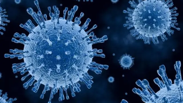 وزارة الصحة المصرية تكشف: 66% من الإصابات التنفسية إنفلونزا وتؤكد توفير اللقاح وعدم وجود فيروسات غير معروفة.