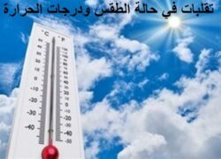 غدا أمطار ورياح حالة الطقس غدًا السبت 15/11/2025 بمصر يسود طقس خريفي.