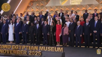 جولة كبار الشخصيات في قاعات العرض الآن 