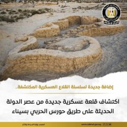 كشفت البعثة الأثرية المصرية العاملة قلعة عسكرية من عصر الدولة الحديثة.