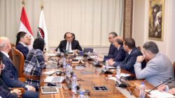 قطاع الأعمال يبحث مع شركتي إنفيجن إنيرجي وبنشمارك باور إنترناشونال مستجدات مشروع الأمونيا الخضراء. 