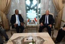 وزير الصناعة يعقد إجتماعًا مع وزير الصناعة والتجارة الجنوب إفريقي لبحث تعزيز التعاون.