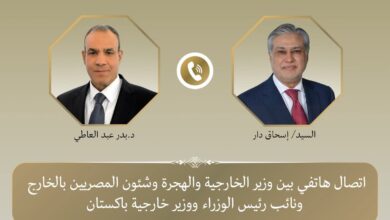 إتصال هاتفي بين وزير خارجية مصر ونظيره الباكستاني